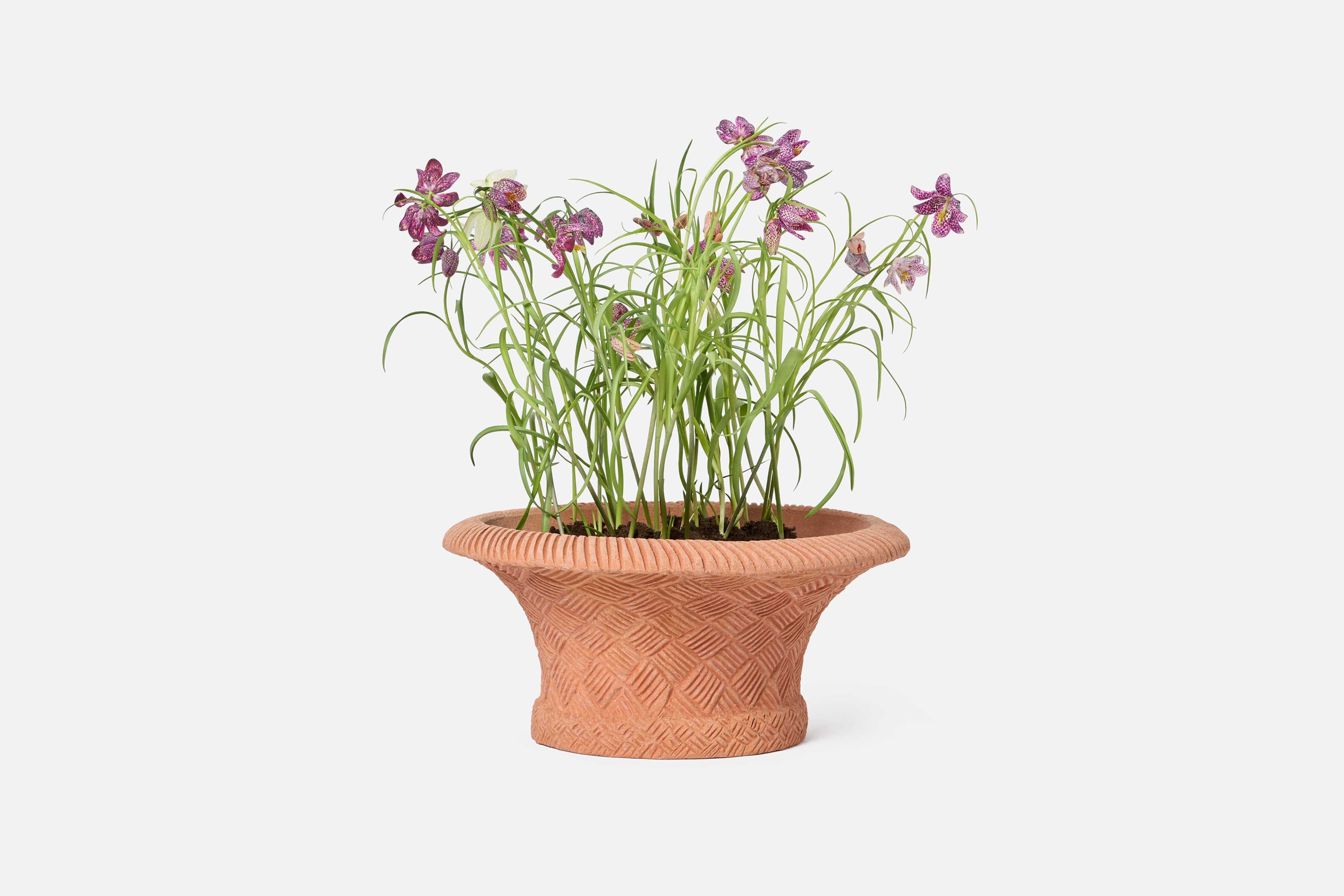 Product detail image 4 / 0