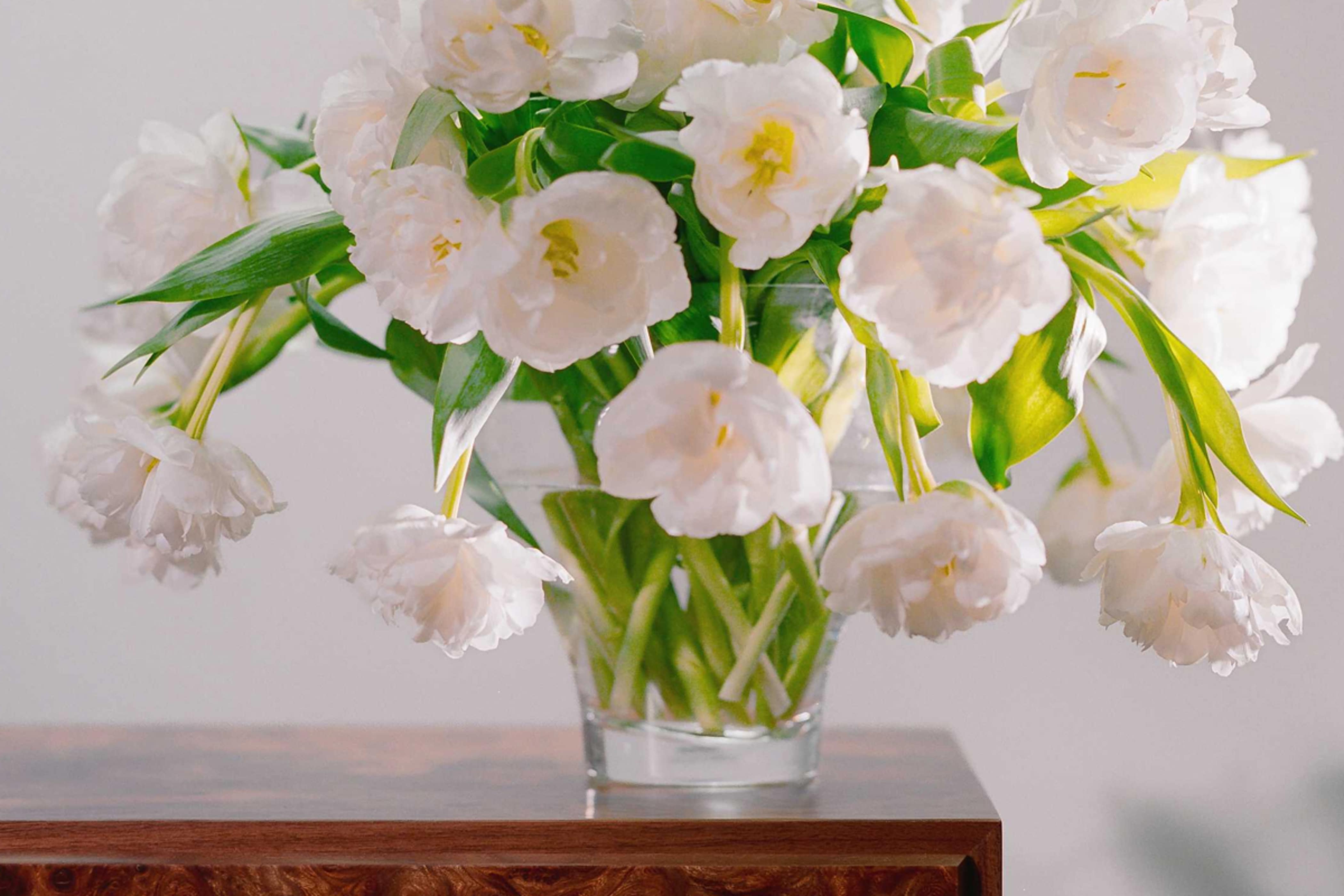 Product detail image 1 / 0