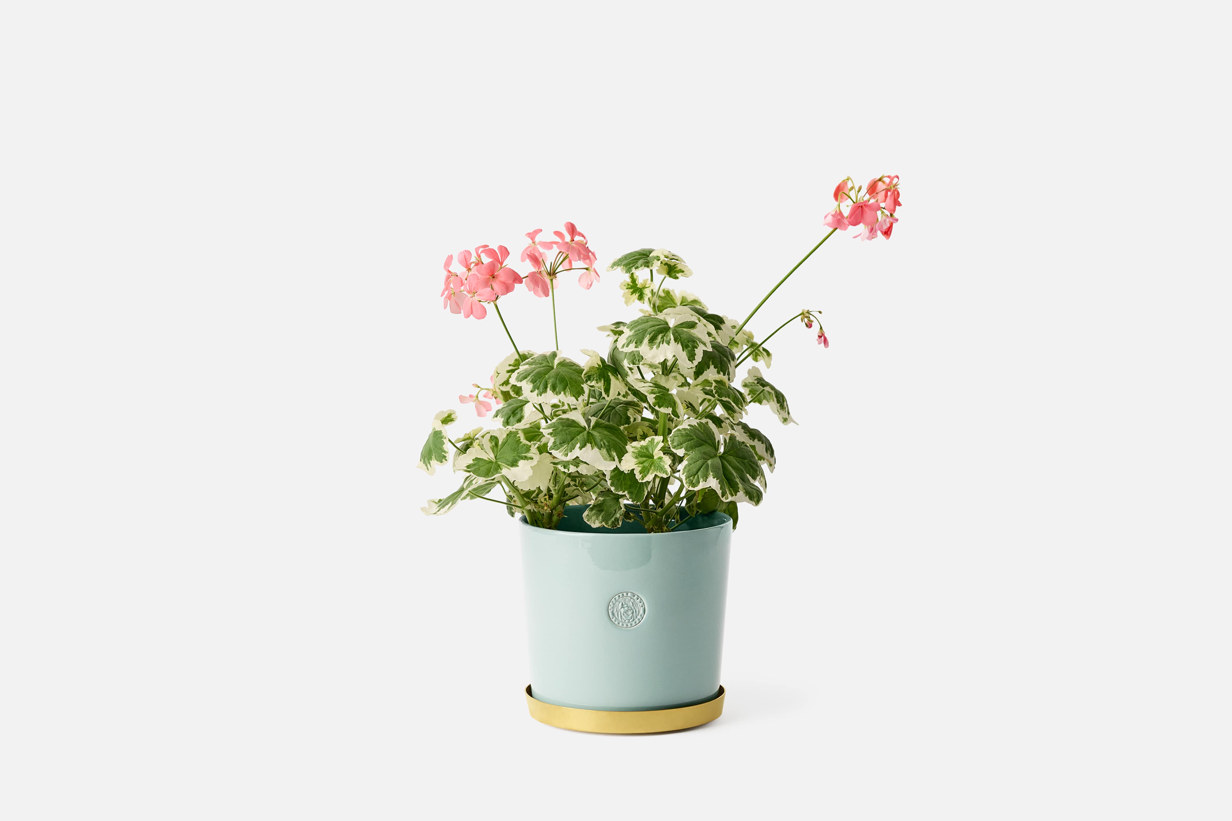 Product detail image 3 / 0