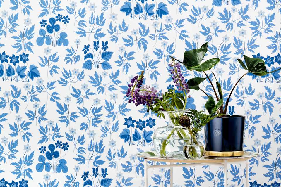 Product detail image 1 / 0