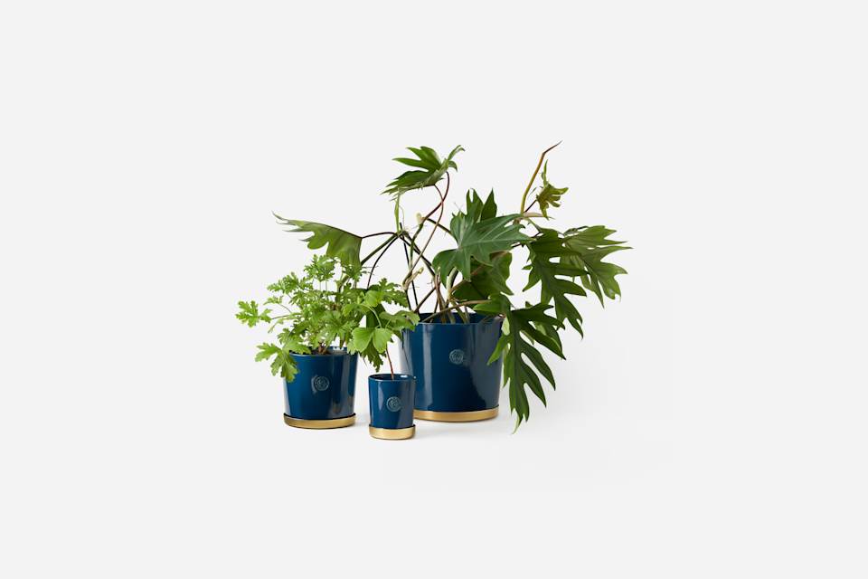 Product detail image 1 / 0