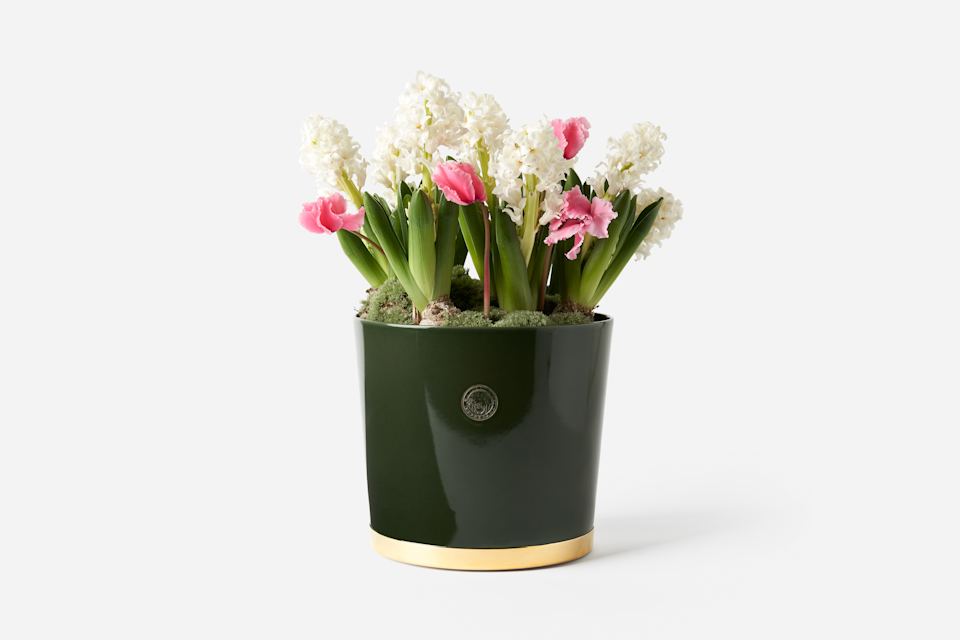 Product detail image 1 / 0