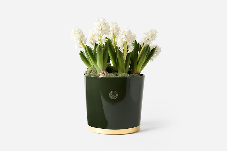 Product detail image 1 / 0