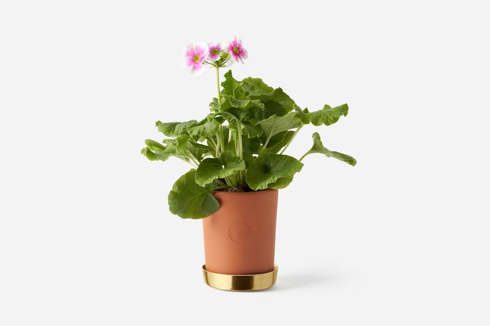 Product detail image 1 / 0