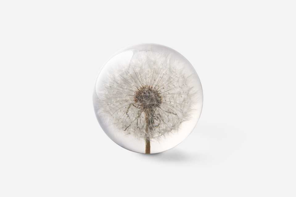 Product detail image 1 / 0