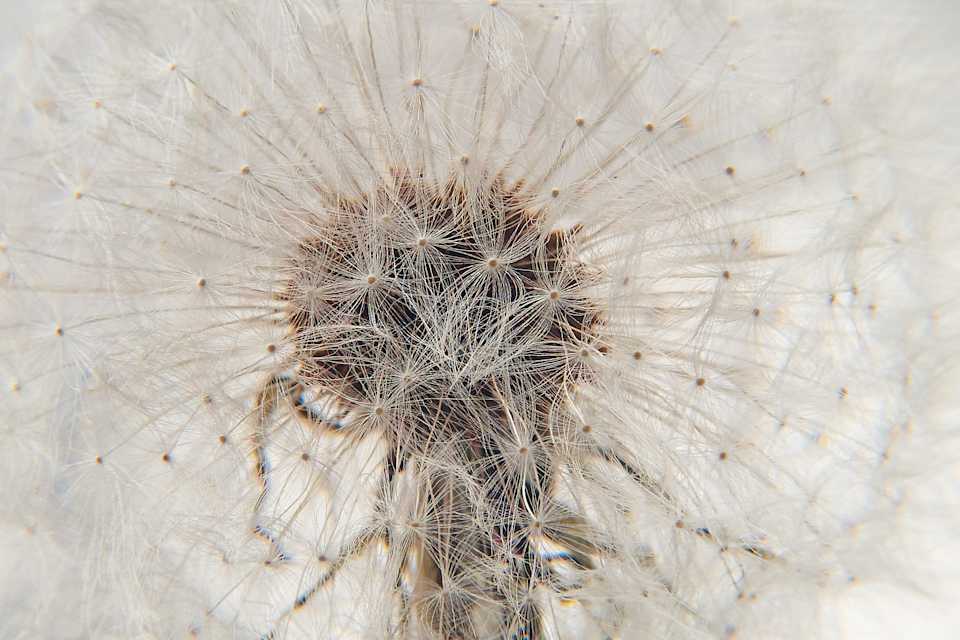 Product detail image 1 / 0