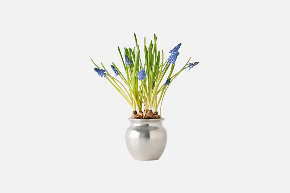 Product detail image 1 / 0