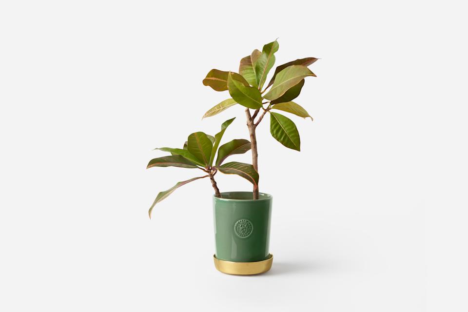 Product detail image 1 / 0