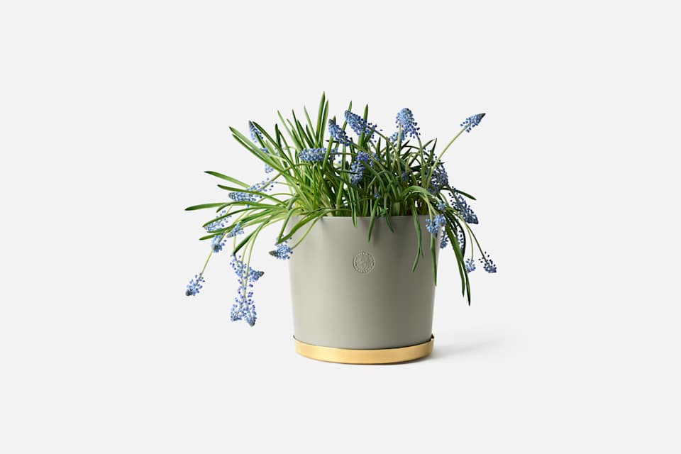 Product detail image 1 / 0