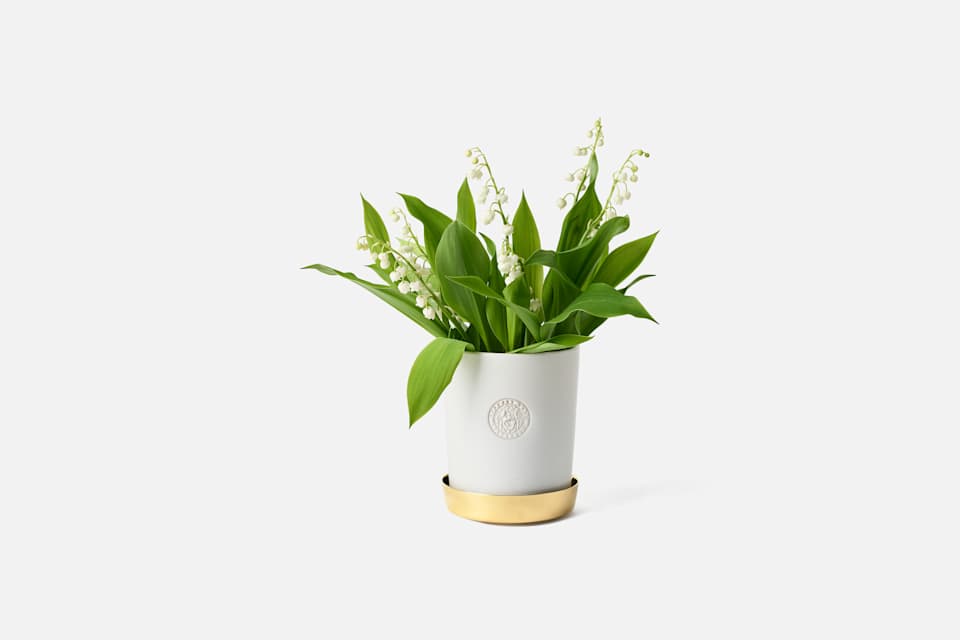 Product detail image 1 / 0