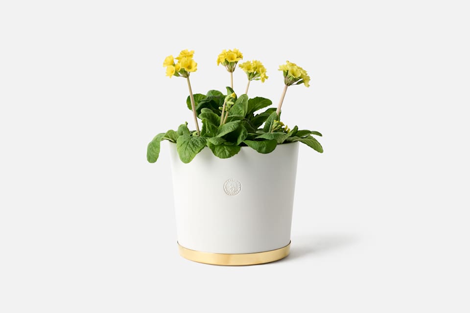 Product detail image 1 / 0