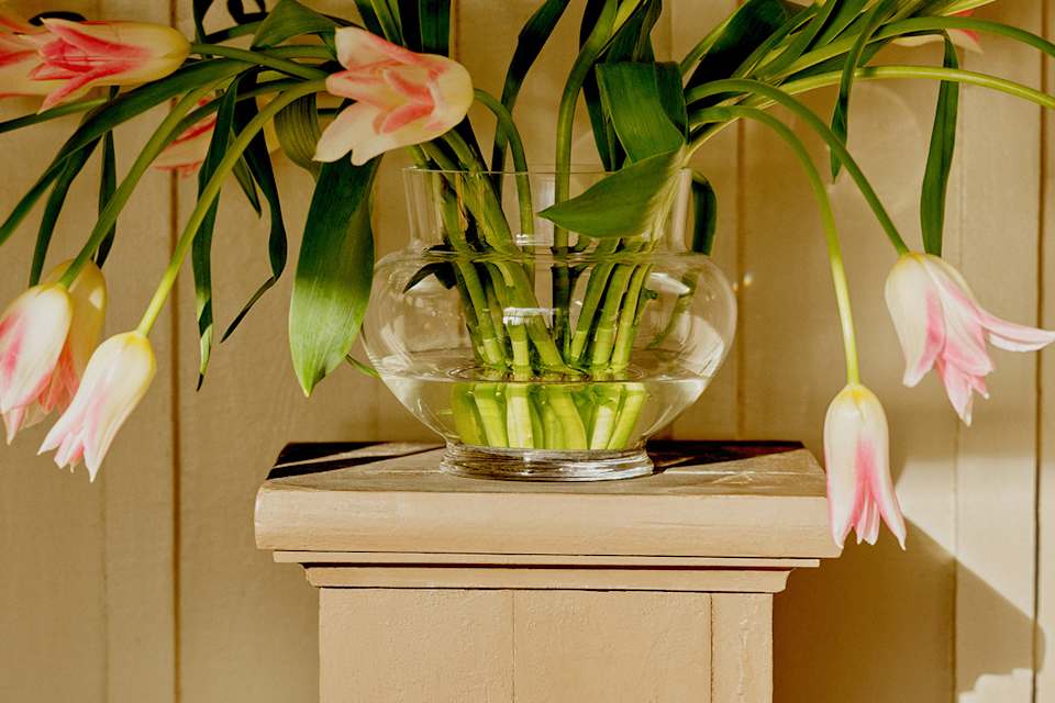 Product detail image 1 / 0