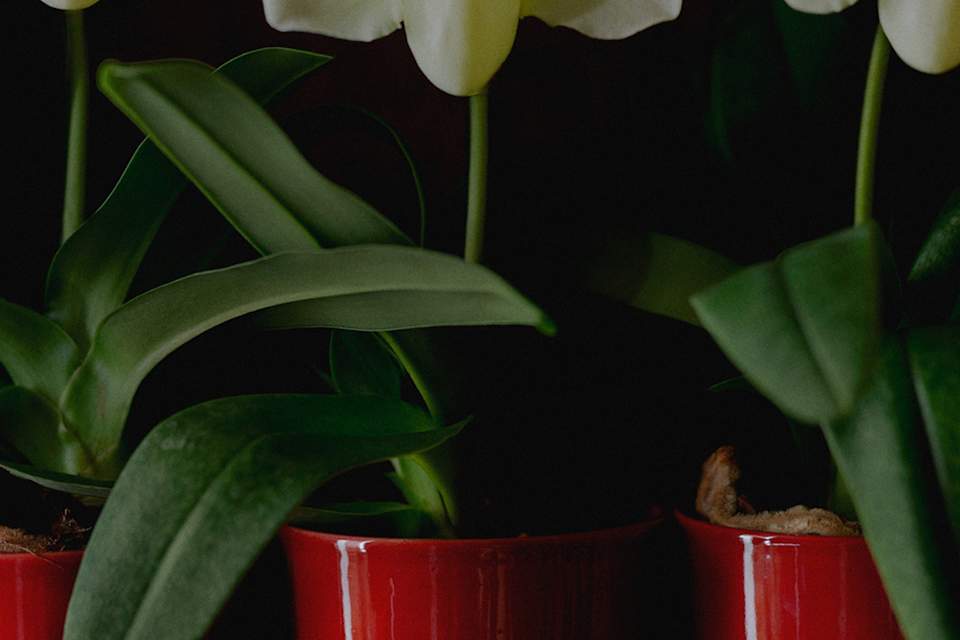 Product detail image 1 / 0