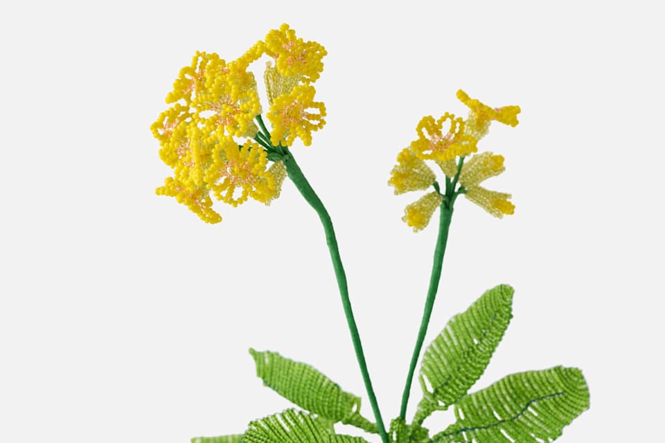 Product detail image 1 / 0