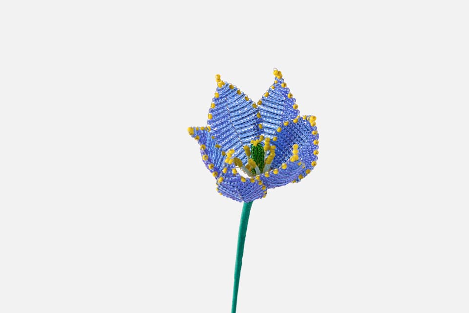 Product detail image 1 / 0