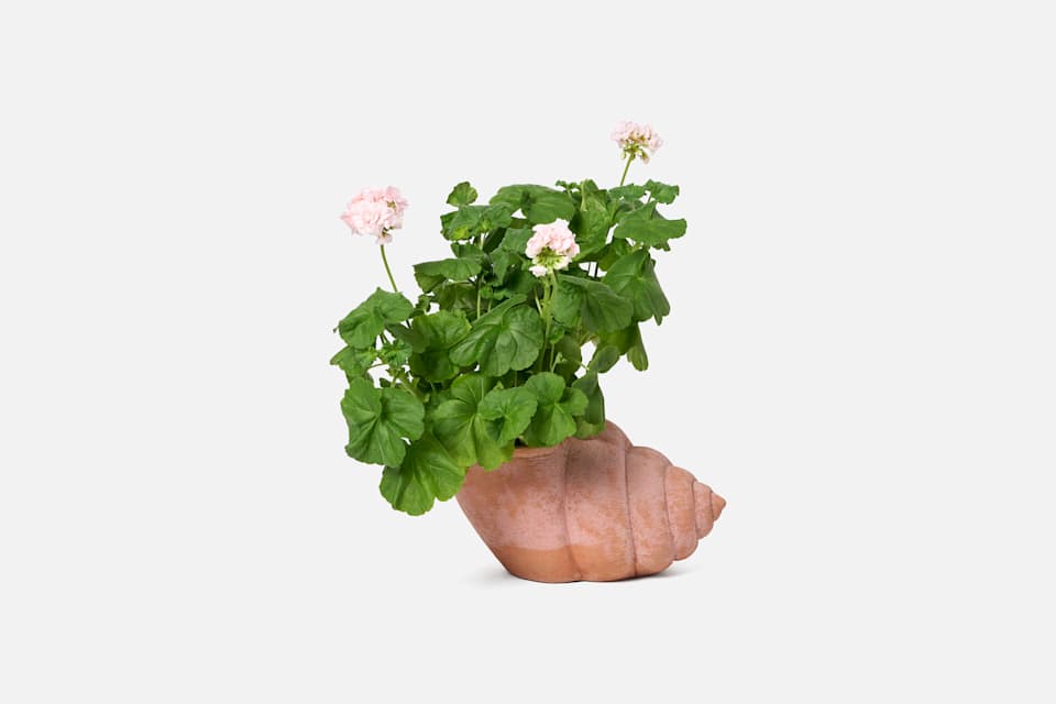 Product detail image 2 / 0
