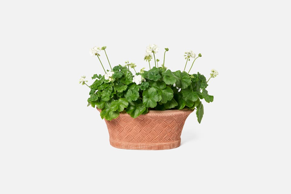 Product detail image 4 / 0