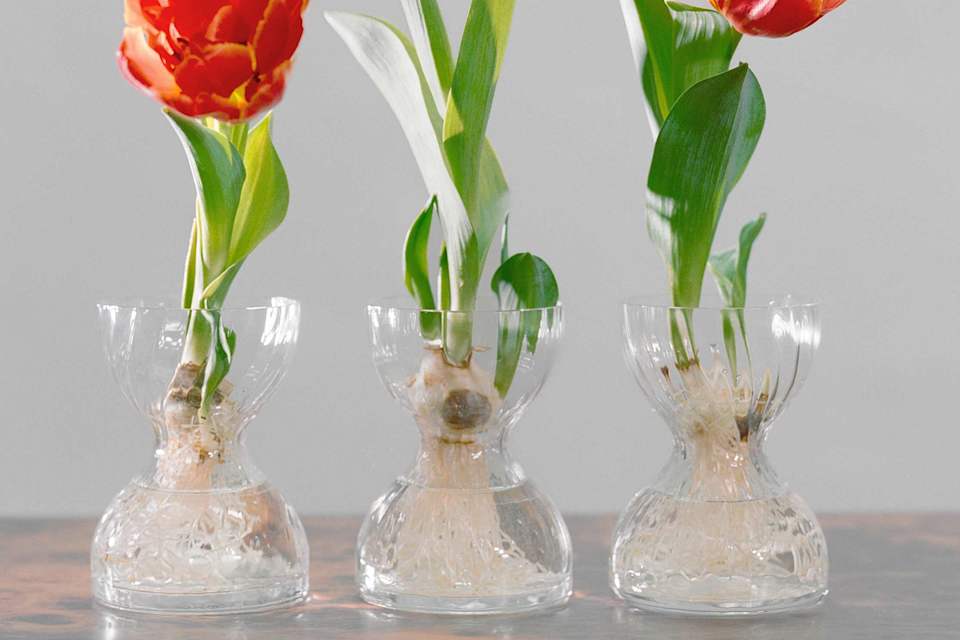 Product detail image 1 / 0