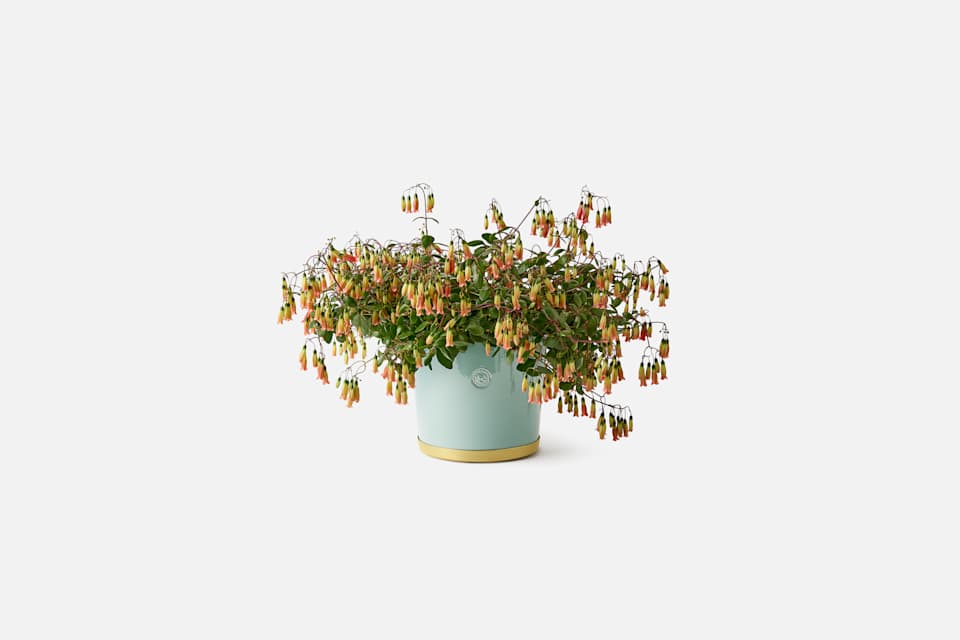 Product detail image 3 / 0