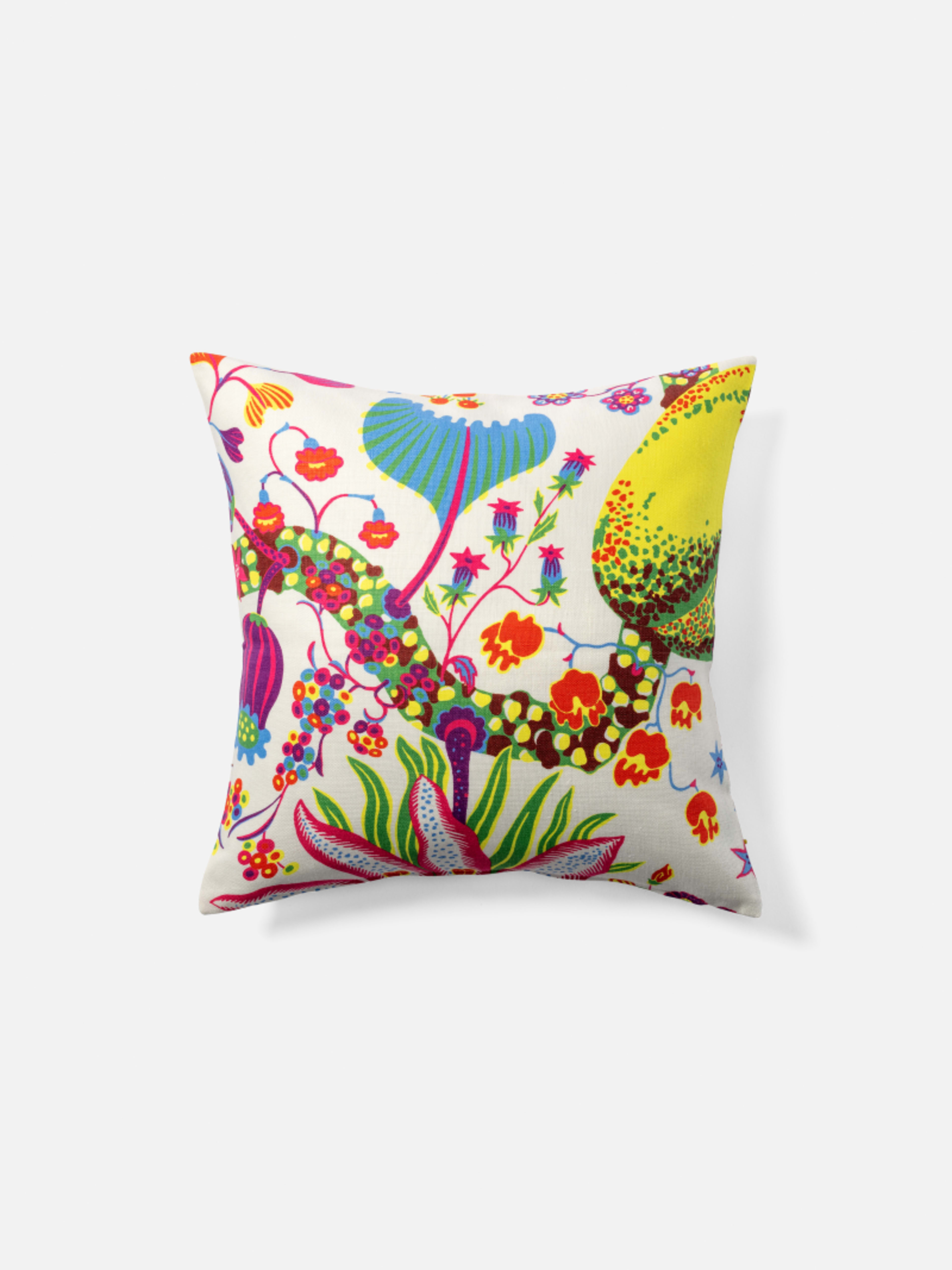 Cushion Brazil