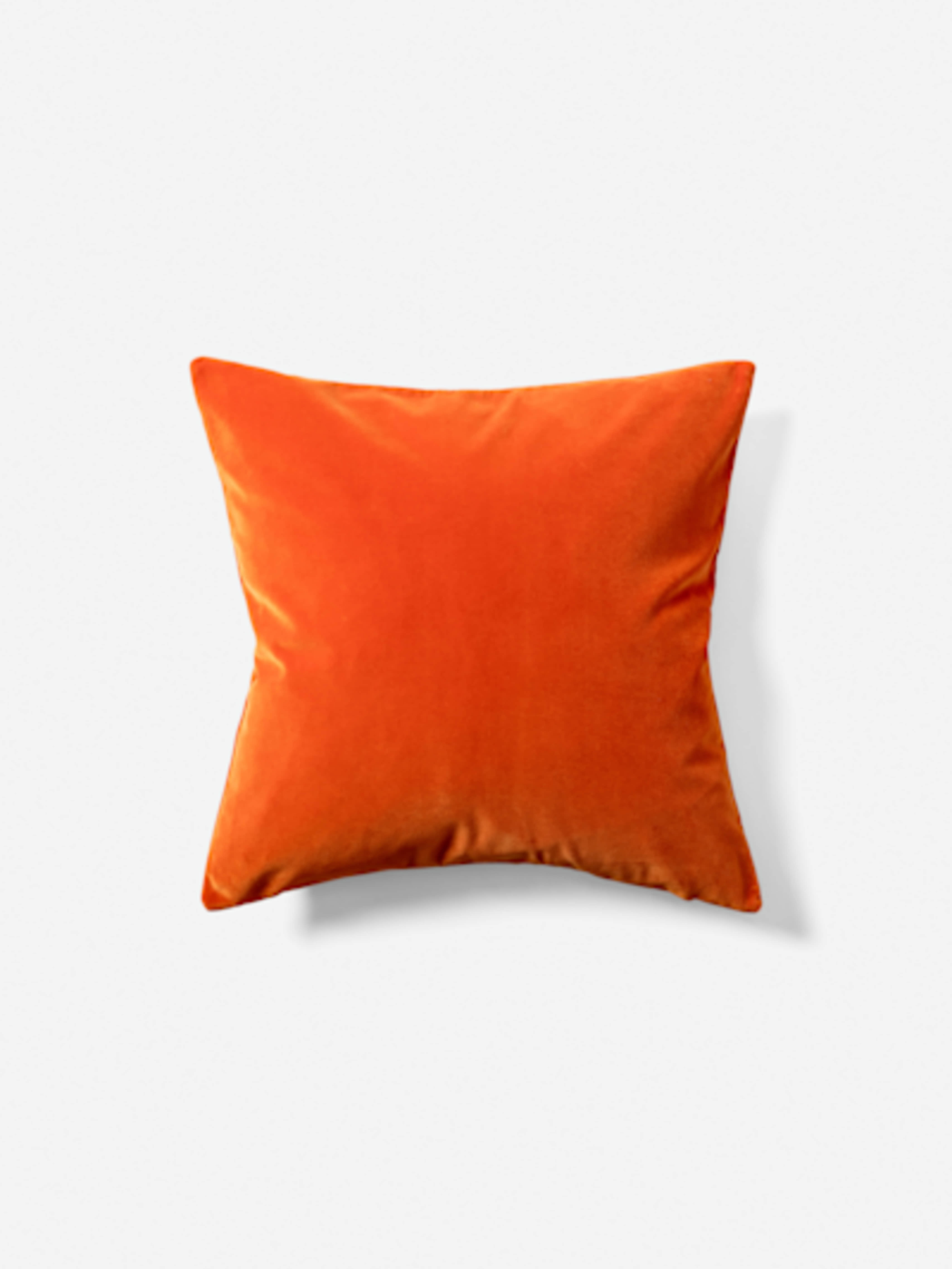 Cushion Velvet