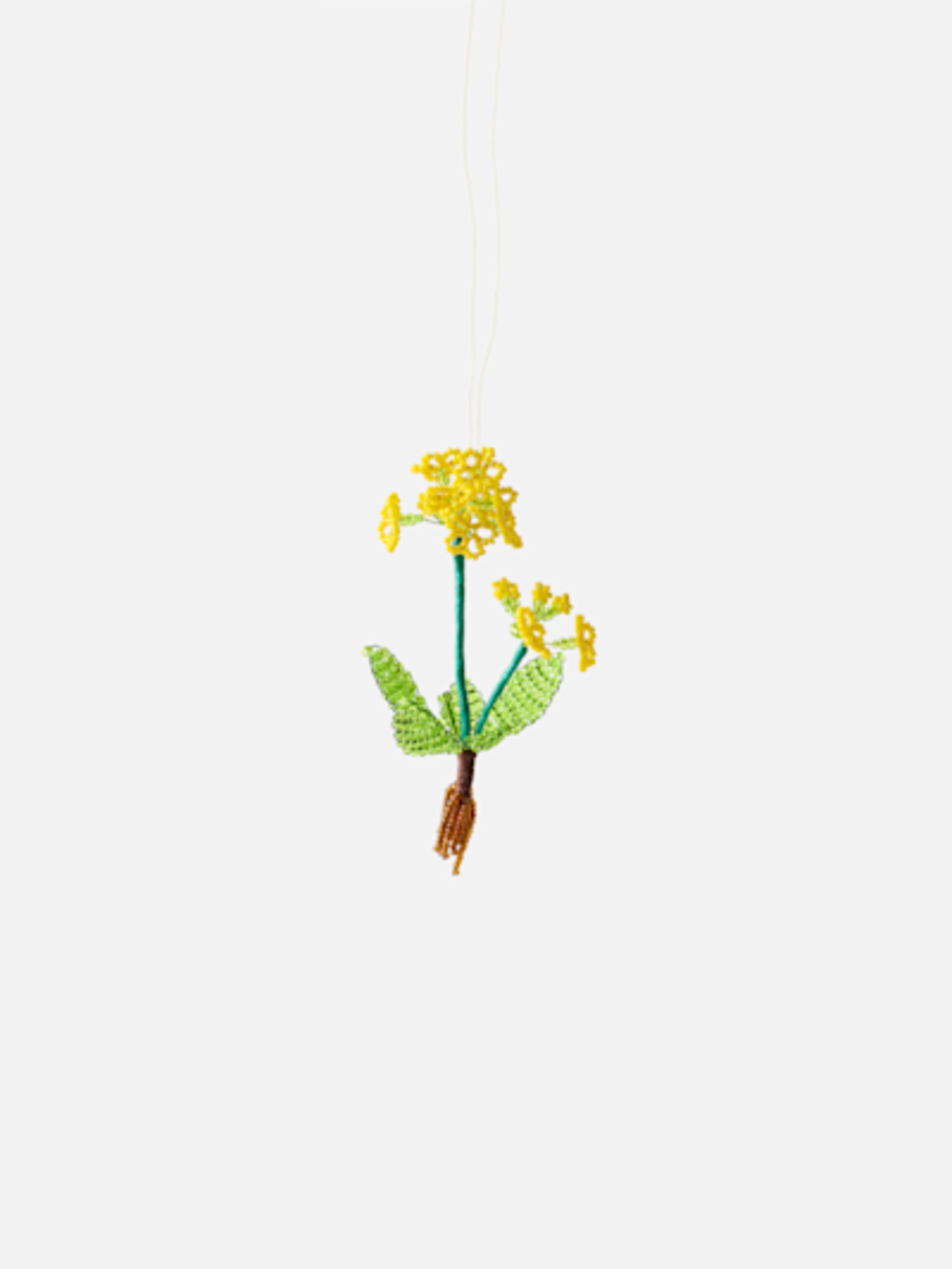Ornament Cowslip