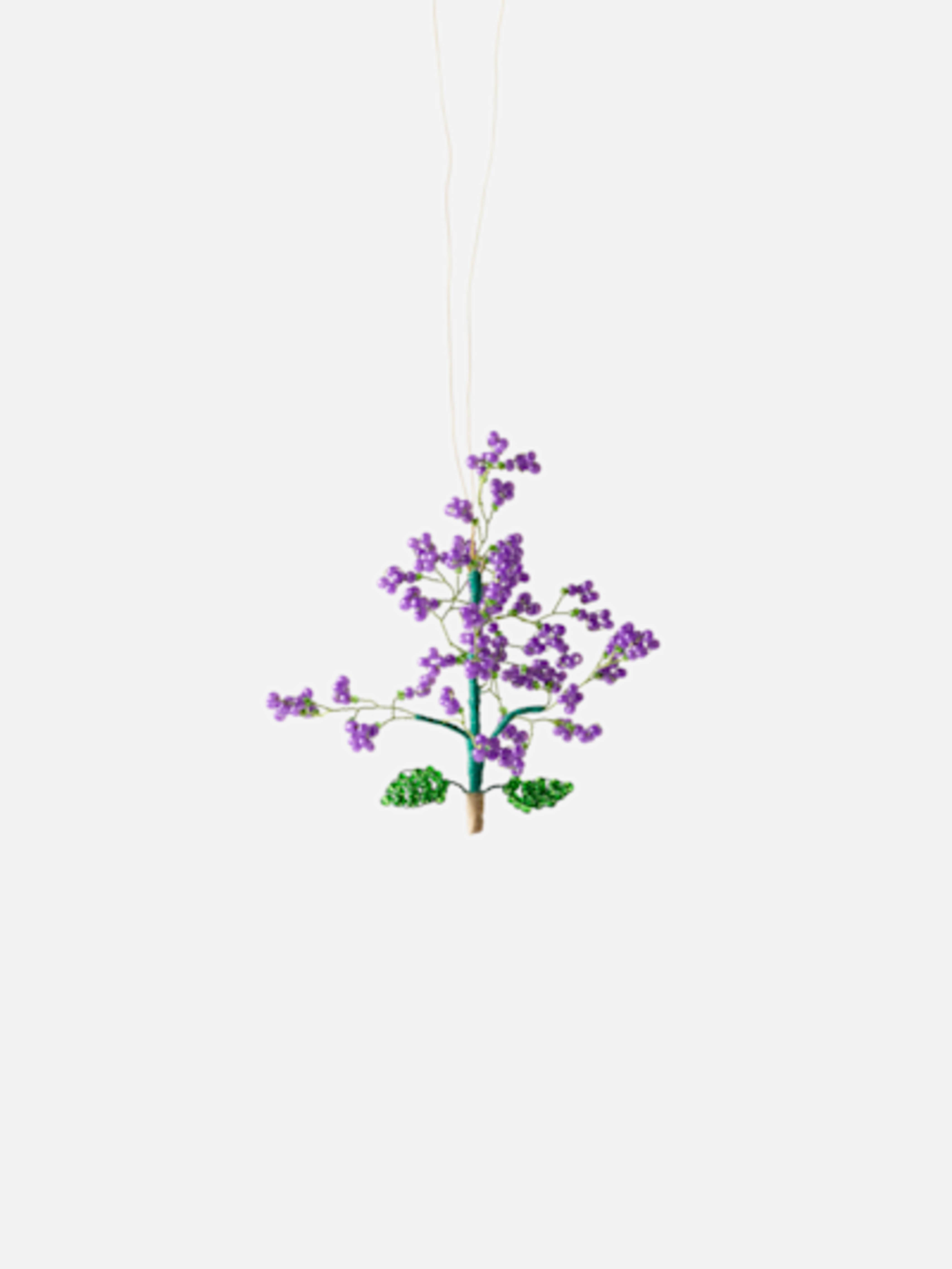 Ornament Lilac