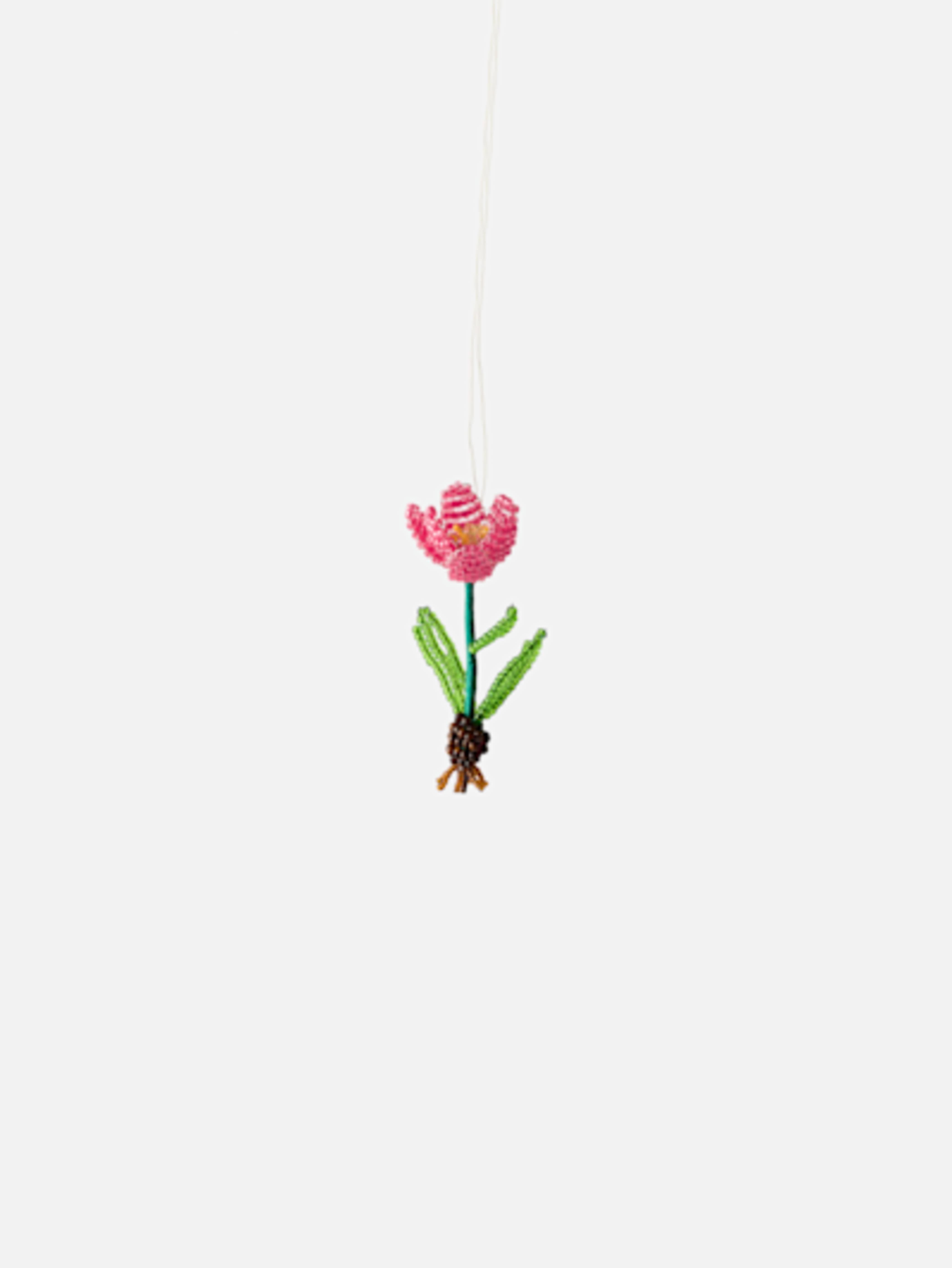Ornament Tulip