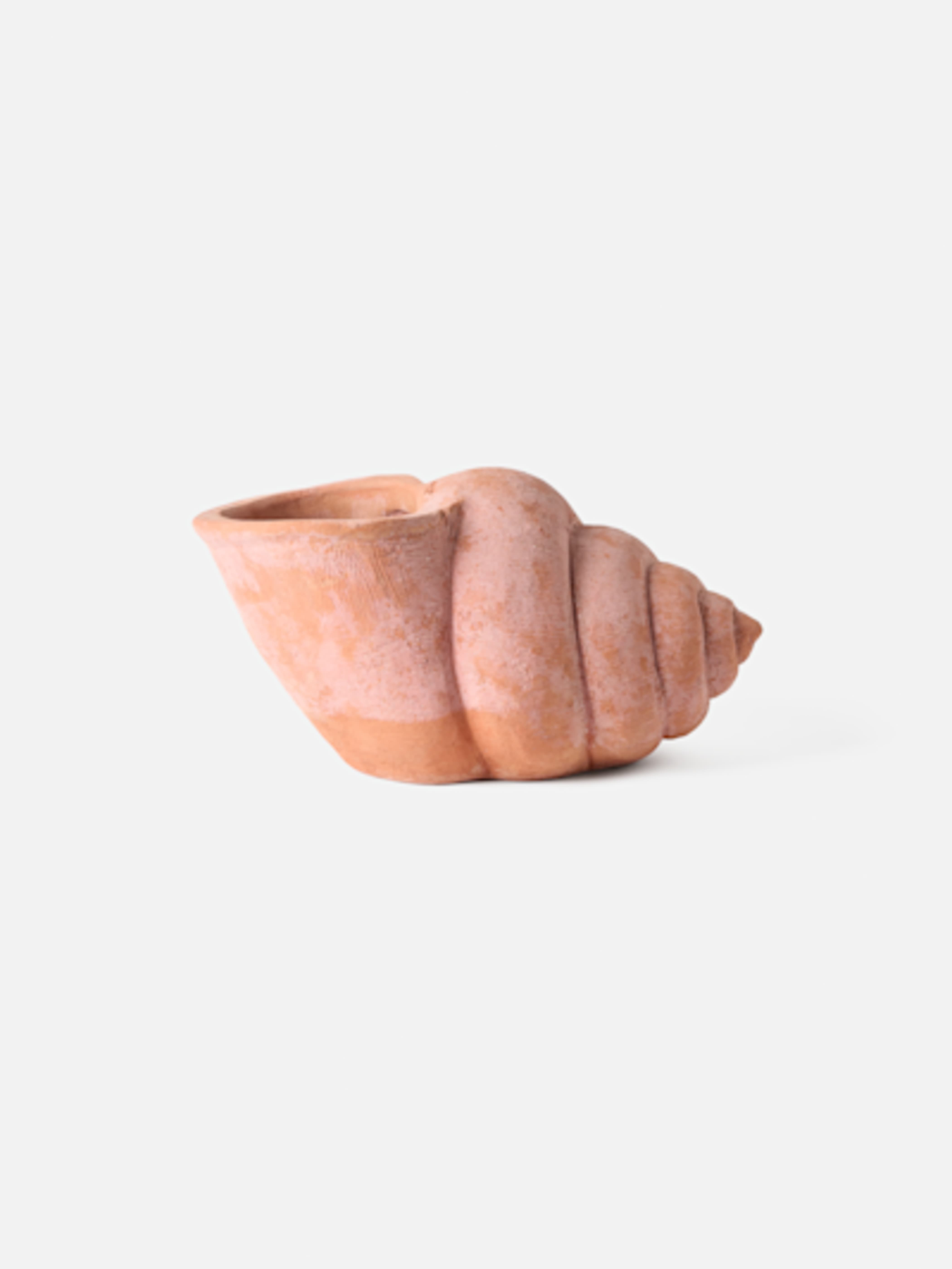 Flower Pot Shell