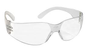Bsh V20 Clear Safety Goggles