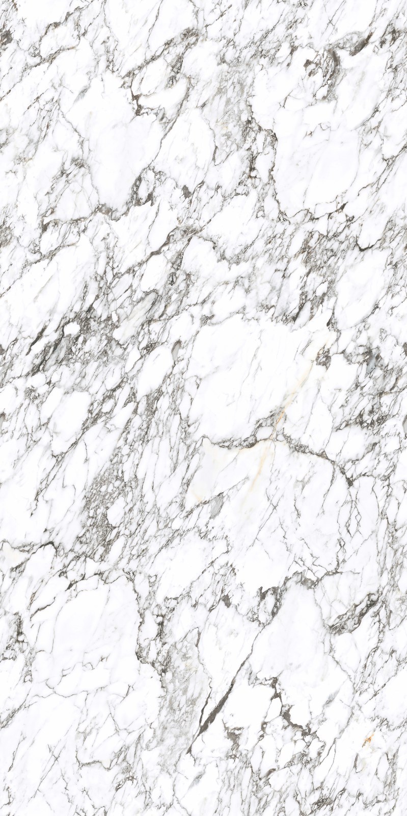 Arabescato Corchia Sintered Stone Slab in space