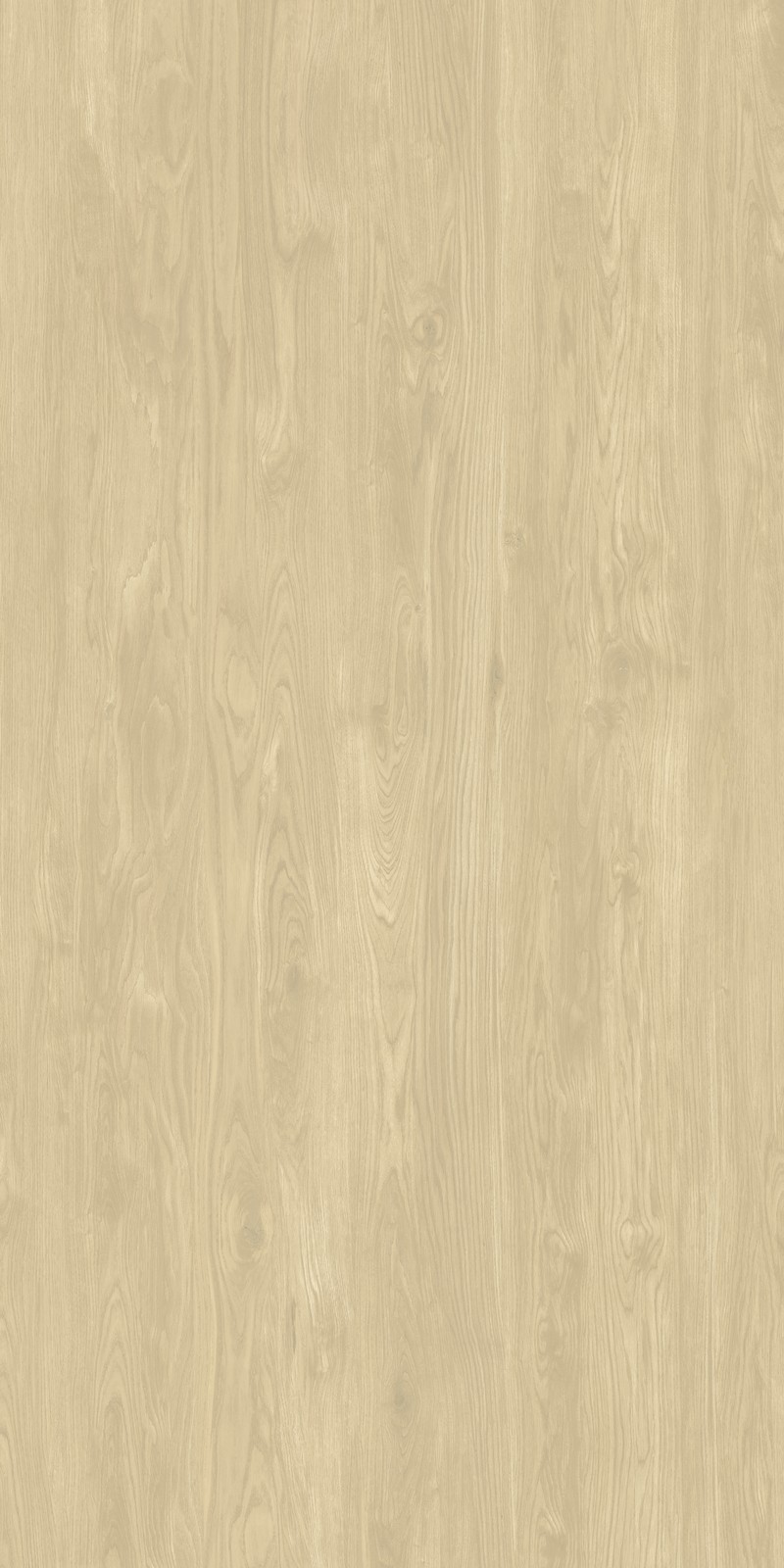Cedar Natural Sintered Stone Slab in space