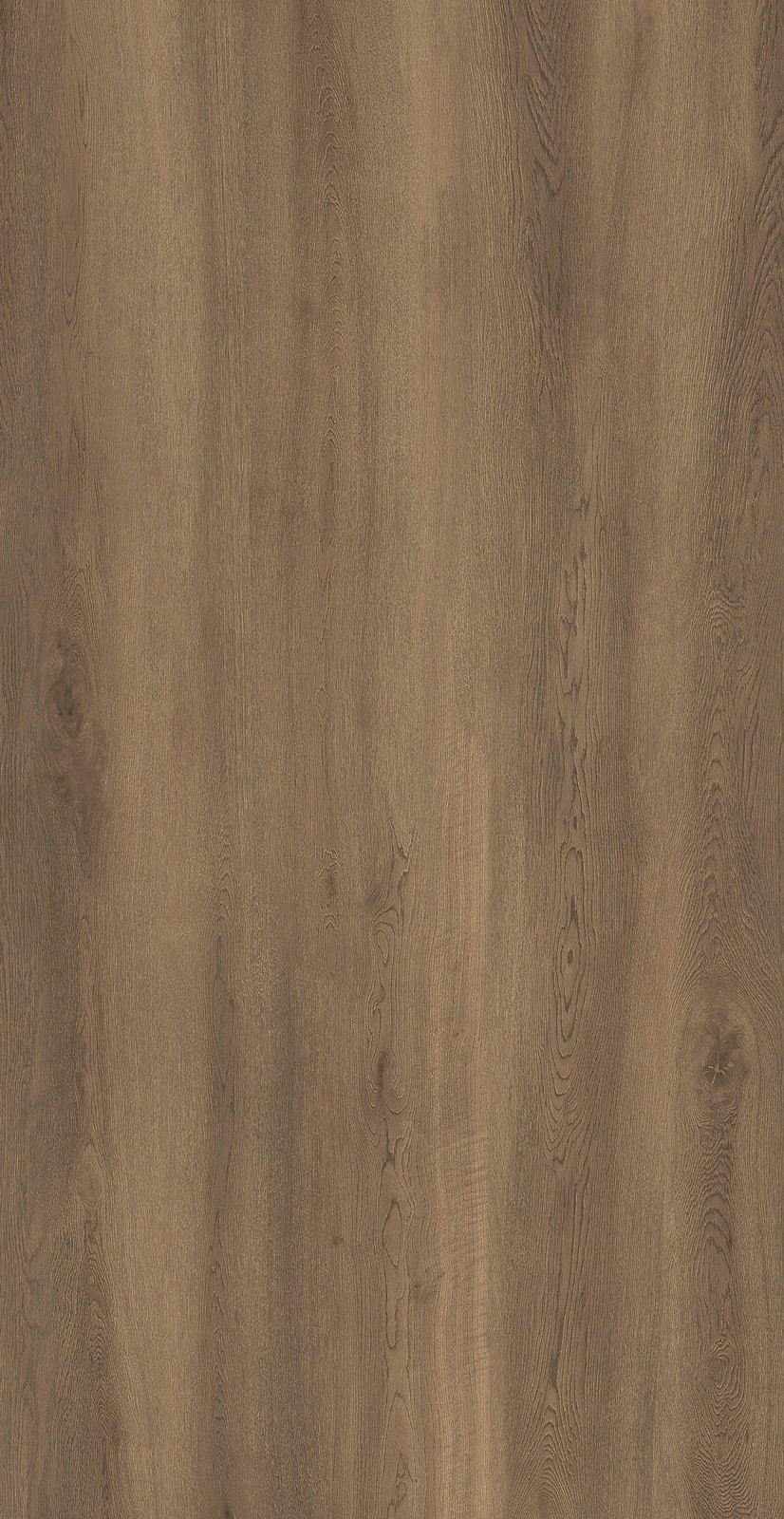 Brown Oak Sintered Stone Slab in space