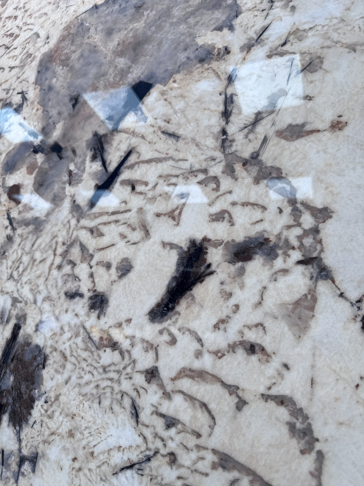 Patagonia Grey Sintered Stone Slab view 4