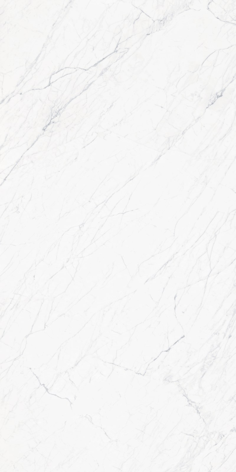 Venus Sintered Stone Slab in space