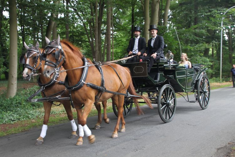 Bild 69 aus Schützenfest 2024