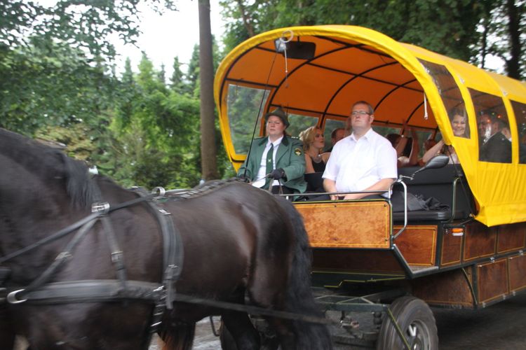 Bild 50 aus Schützenfest 2017