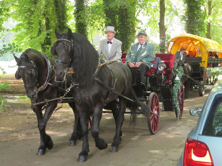 Bild 32 aus Schützenfest 2016
