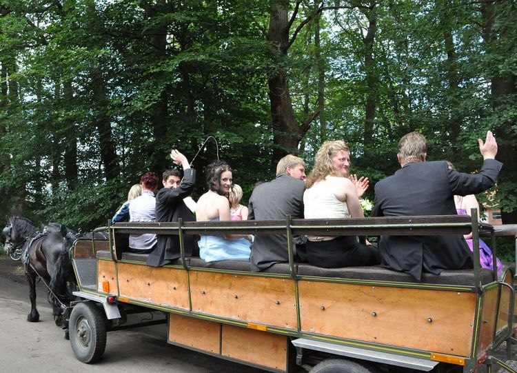 Bild 75 aus Schützenfest 2011