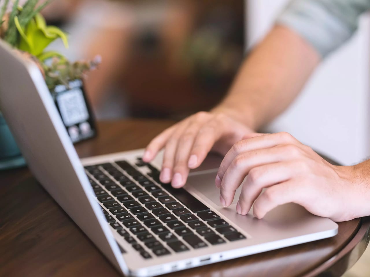 Eine Person tippt auf einem Laptop, der auf einem runden Holztisch steht. Daneben steht ein kleiner Blumentopf mit Sukkulenten.