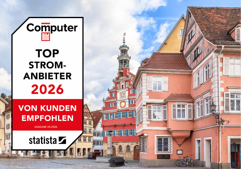 Esslingen am Neckar mit Blick auf die Innenstadt.