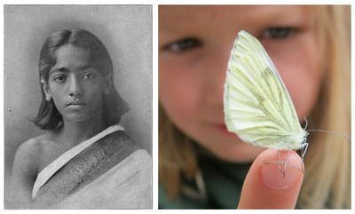 A two-panel image illustrating pure observation and choiceless awareness. The left panel shows a vintage black-and-white portrait of a young Jiddu Krishnamurti draped in a traditional white cloth. The right panel shows a close-up of a blonde child quietly observing a pale yellow butterfly resting gently on their fingertips.