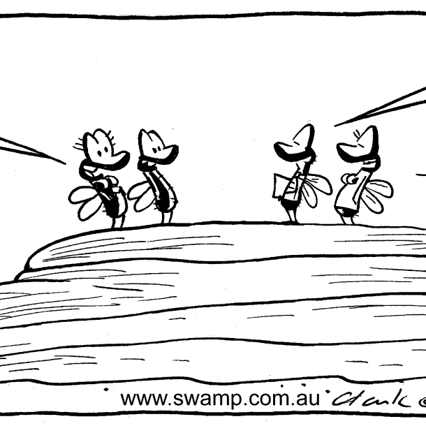 Swamp Flies Reno Comic