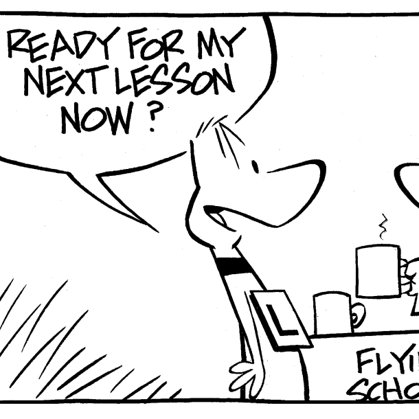 Pilots Checklist Comic (Copy)