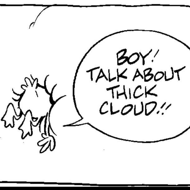 Boy! Thick Cloud