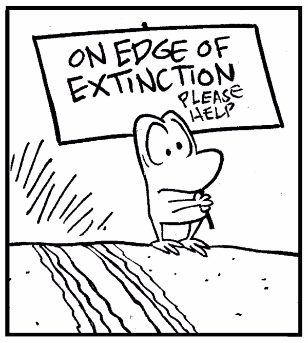 Edge of Extinction