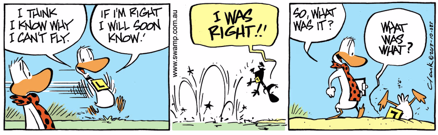 Why Ding Duck Can't Fly