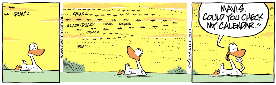 Ducks Migrating