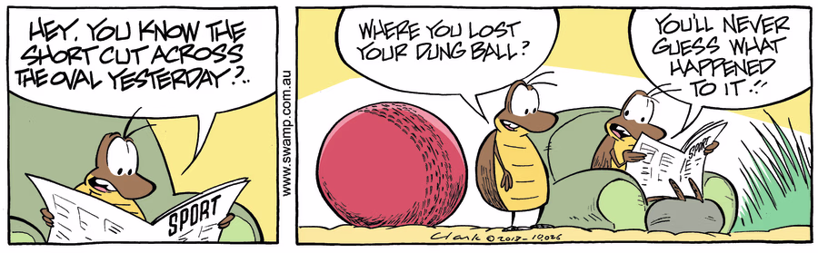 Dung Beetle Cricket