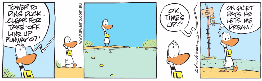 ATC Kind to Ding Duck